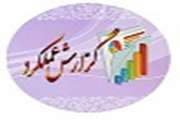 گزارش عملکرد