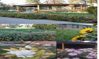 صدای پای بهار در بیمارستان روانپزشکی بهاران